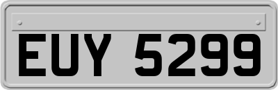 EUY5299