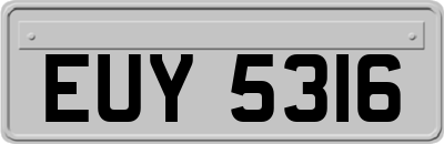 EUY5316