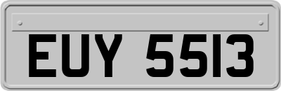 EUY5513