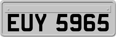 EUY5965