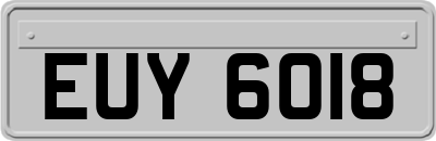 EUY6018