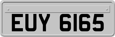 EUY6165
