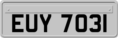 EUY7031