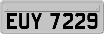 EUY7229