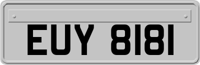 EUY8181