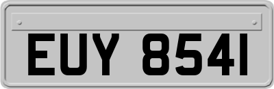 EUY8541