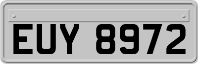 EUY8972