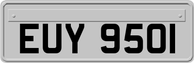 EUY9501