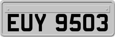 EUY9503