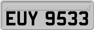 EUY9533