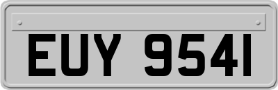 EUY9541
