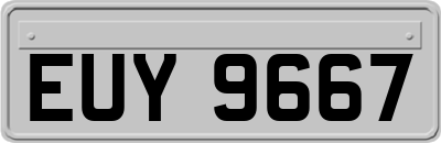 EUY9667