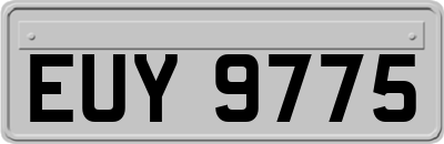 EUY9775
