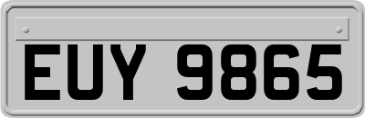 EUY9865