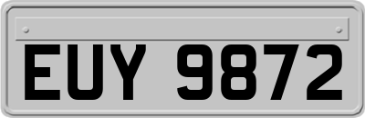 EUY9872