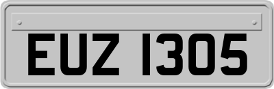 EUZ1305