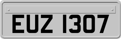EUZ1307