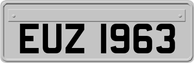 EUZ1963