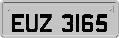 EUZ3165