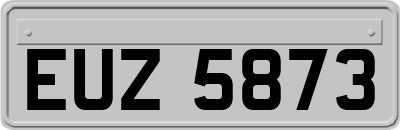 EUZ5873