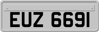 EUZ6691