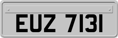 EUZ7131