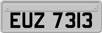 EUZ7313