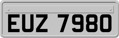 EUZ7980