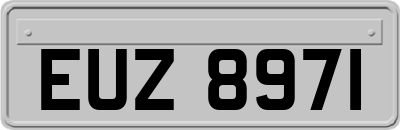 EUZ8971