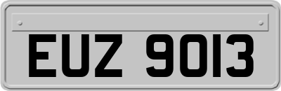 EUZ9013
