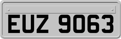 EUZ9063