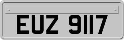 EUZ9117