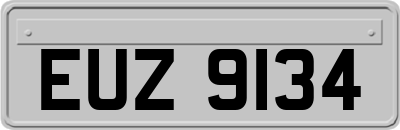 EUZ9134