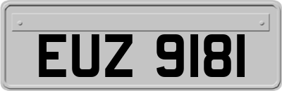 EUZ9181