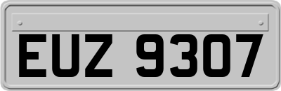 EUZ9307
