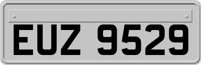 EUZ9529