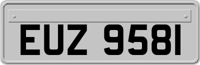 EUZ9581