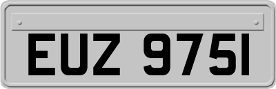 EUZ9751
