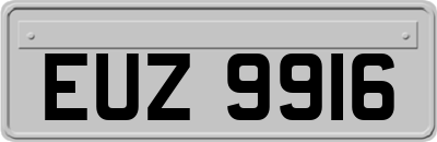 EUZ9916