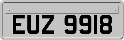EUZ9918
