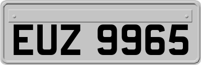 EUZ9965