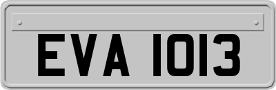 EVA1013