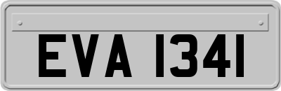 EVA1341