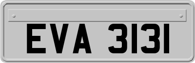 EVA3131