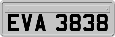 EVA3838