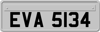 EVA5134