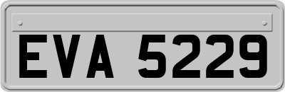 EVA5229