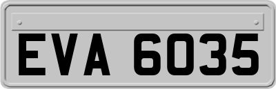 EVA6035
