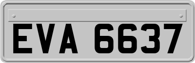 EVA6637