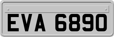 EVA6890